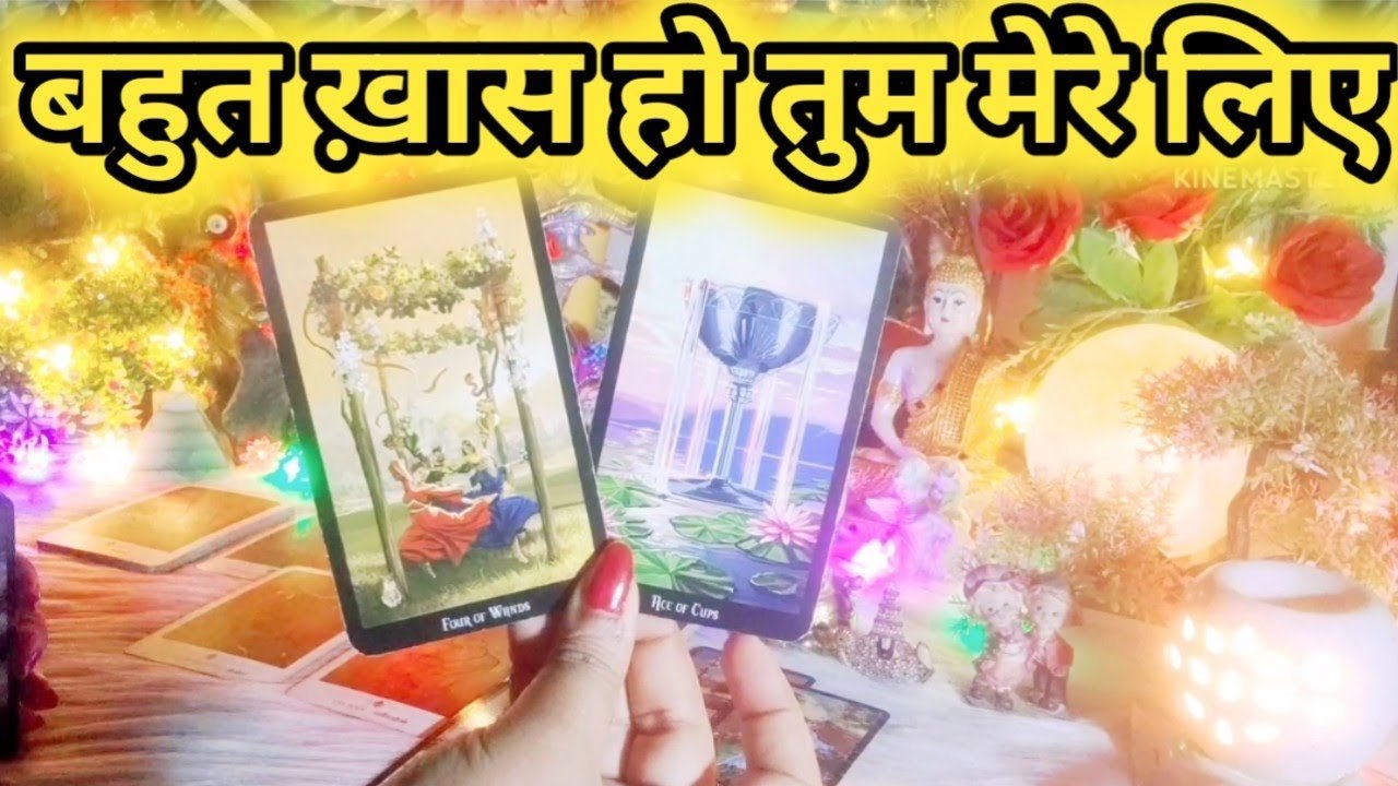 No momento, você está visualizando Current Feelings Next Action With Angel Guidance ❤💚 All Signs Collective Timeless Tarot Reading