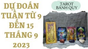 Leia mais sobre o artigo Dự đoán tuần từ 9 đến 15 tháng 9 {Tình yêu/Công việc/Thời vận} | Chọn 1 tụ bài | Xem Tarot