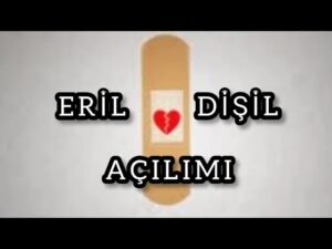 Leia mais sobre o artigo ERİL DİŞİL AÇILIMI  , #aklımdakikisi #tarot2023  #tarotfalı #erildişil #üçüncükişiler #tarot