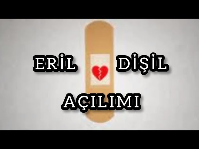 No momento, você está visualizando ERİL DİŞİL AÇILIMI  , #aklımdakikisi #tarot2023  #tarotfalı #erildişil #üçüncükişiler #tarot