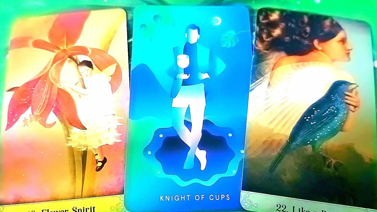 No momento, você está visualizando HOT HÒN HỌT / TAROT READING