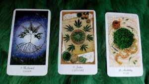 Leia mais sobre o artigo KHI NÀO BẠN ĐỔI VẬN? CÁC THIÊN THẦN MUỐN CHÚC MỪNG ĐIỀU GÌ CHO VẬN MỚI CỦA BẠN? @EvelynTarot