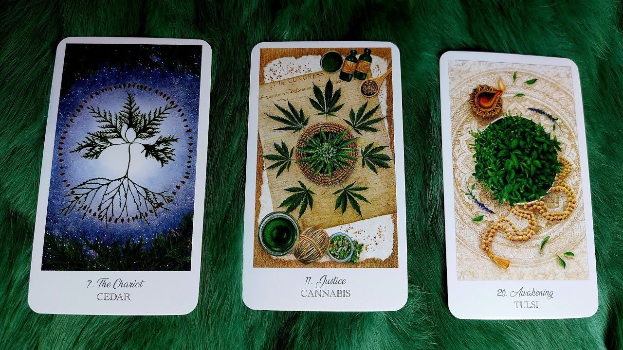 No momento, você está visualizando KHI NÀO BẠN ĐỔI VẬN? CÁC THIÊN THẦN MUỐN CHÚC MỪNG ĐIỀU GÌ CHO VẬN MỚI CỦA BẠN? @EvelynTarot