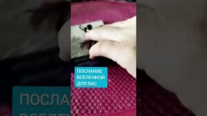 Leia mais sobre o artigo #таро#расклад#любовь#love#dream#tarot#online#tarot#music#shorts#angel#ангел#tarotreading