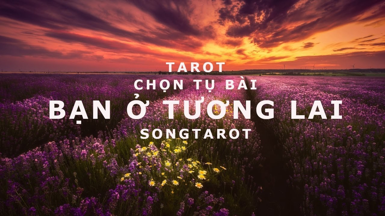 No momento, você está visualizando tarot: chọn tụ bài: bạn ở tương lai