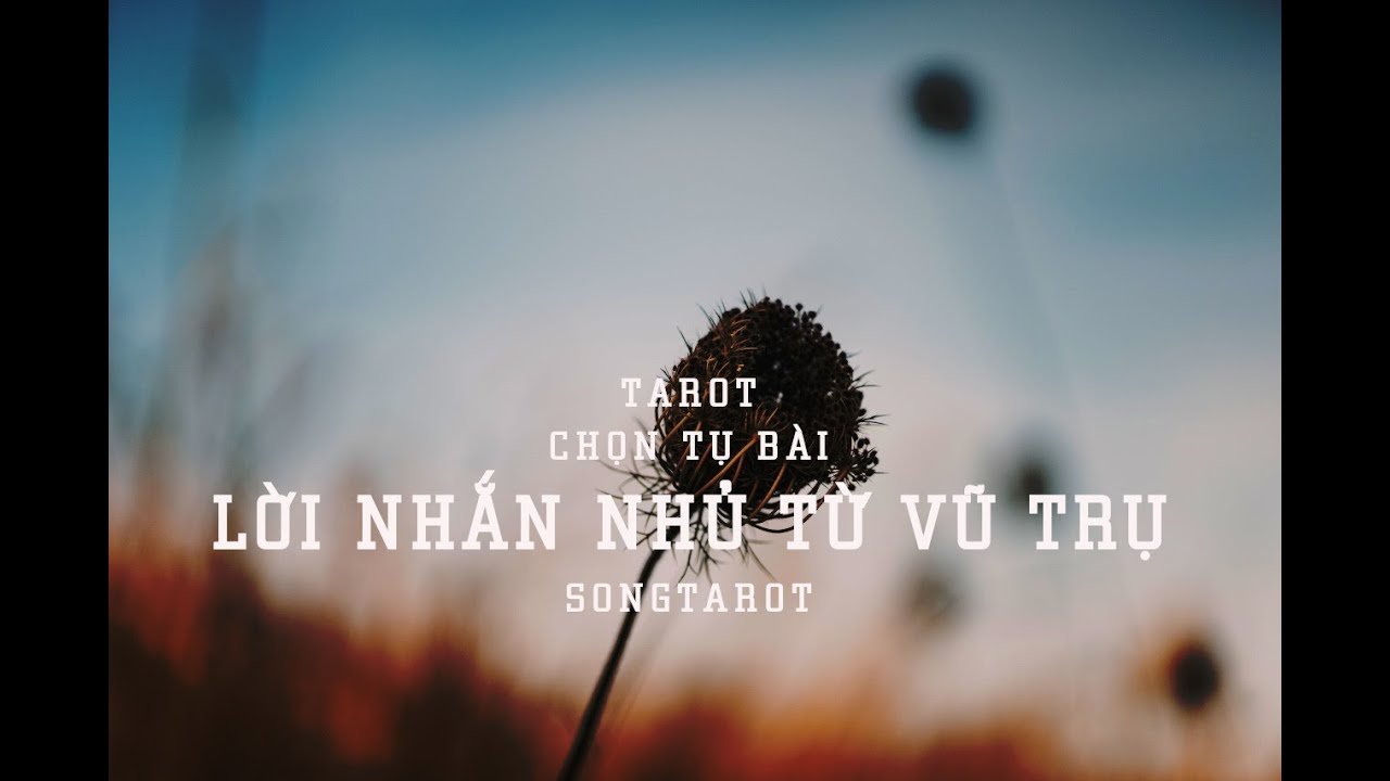 No momento, você está visualizando tarot: chọn tụ bài: lời nhắn nhủ từ vũ trụ
