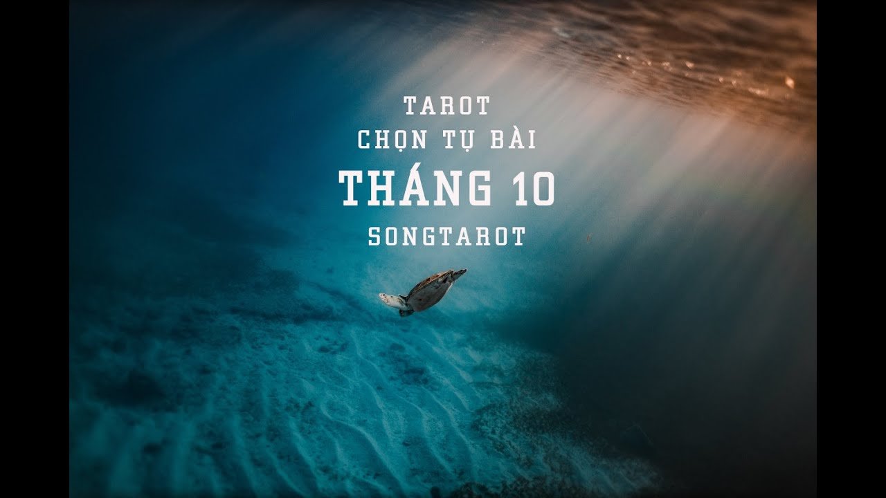 No momento, você está visualizando tarot: chọn tụ bài: tháng 10