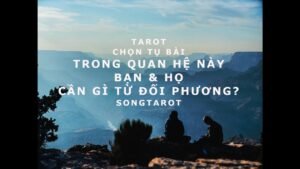 Leia mais sobre o artigo tarot: chọn tụ bài: trong quan hệ này, bạn & họ cần gì từ đối phương?