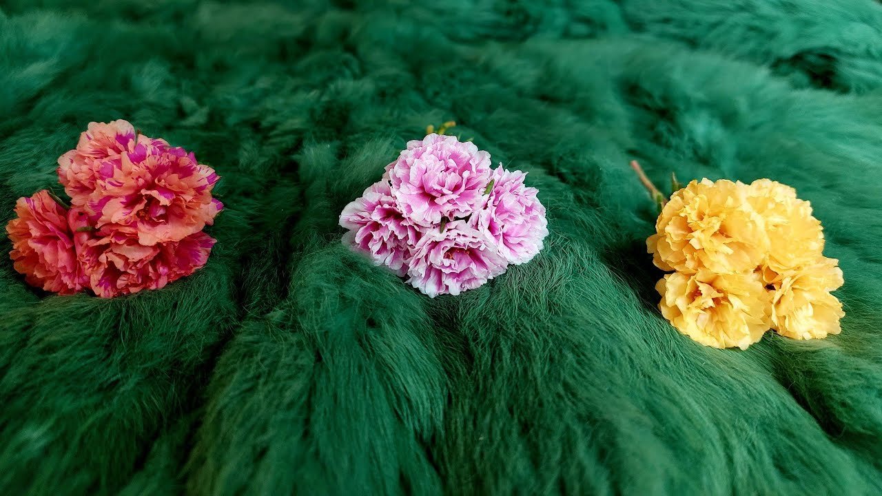 No momento, você está visualizando THÁNG 10/2023 CỦA BẠN SẼ CÓ GÌ?  @EvelynTarot