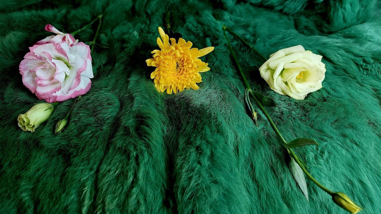 No momento, você está visualizando VẬN MAY NÀO ĐANG ĐẾN VỚI BẠN TRONG THÁNG 8 ÂM LỊCH?