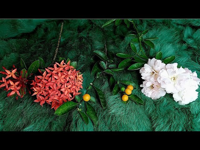 No momento, você está visualizando 🍀 THÁNG 11/2023 CỦA BẠN SẼ CÓ GÌ ?