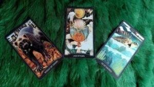 Leia mais sobre o artigo ĐIỀU BẤT NGỜ NÀO ĐANG ĐẾN VỚI BẠN? @EvelynTarot