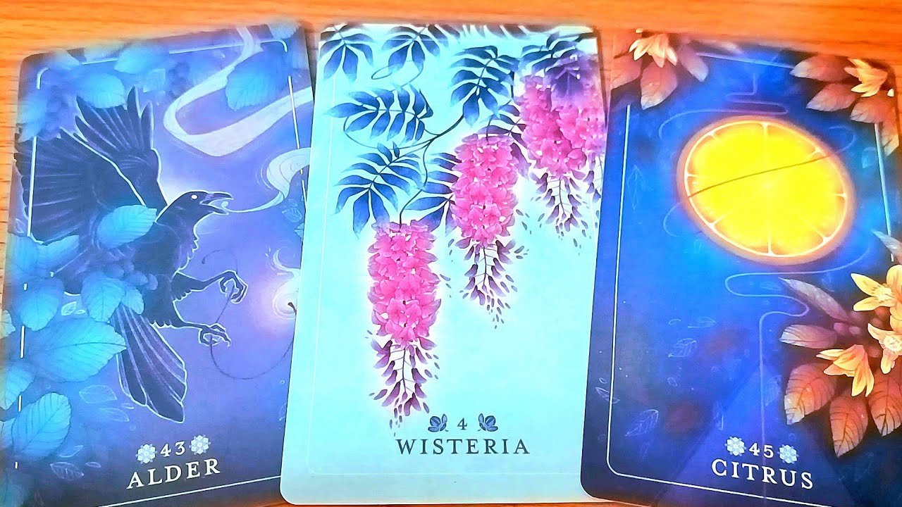 No momento, você está visualizando ĐIỀU GÌ ĐẾN SỚM HƠN BẠN NGHĨ / TAROT READING