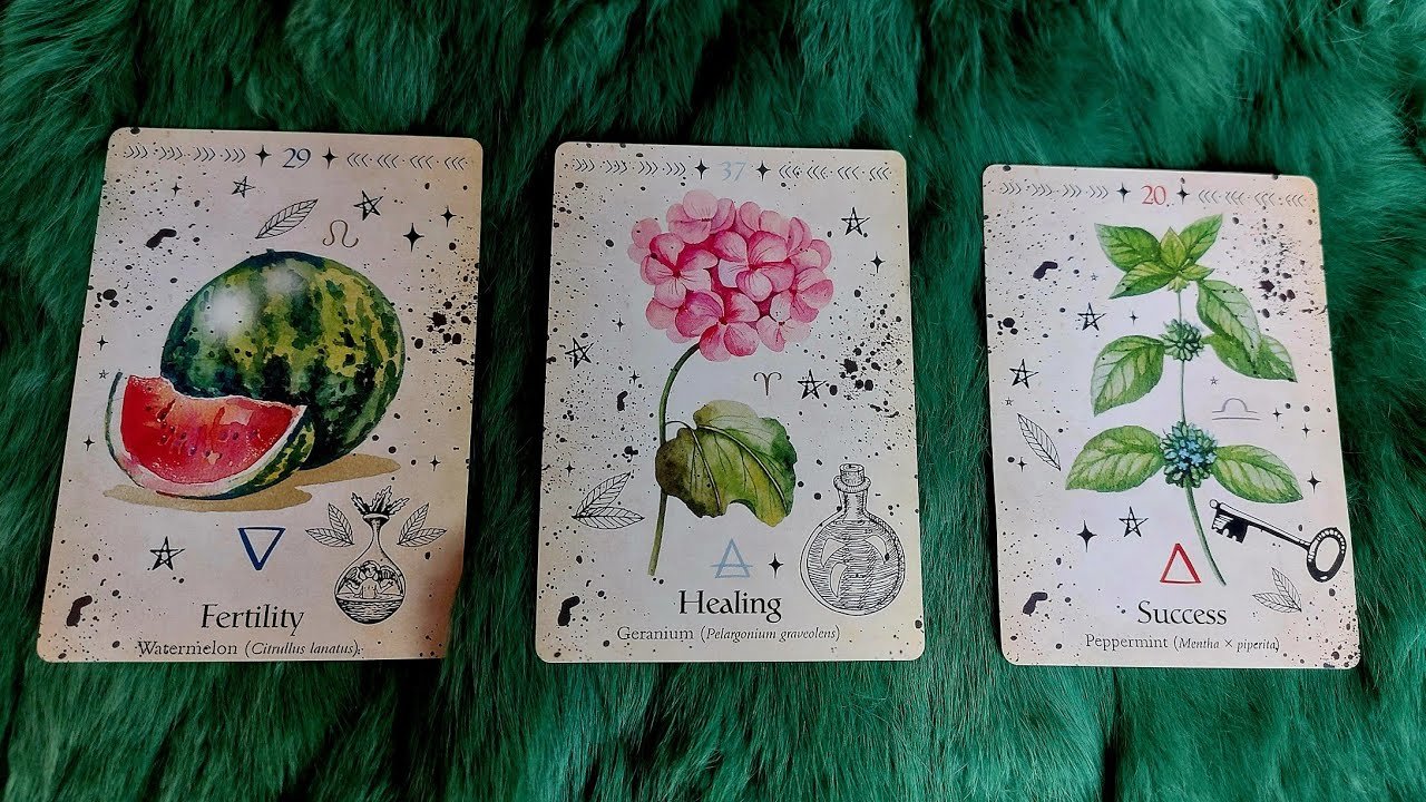 No momento, você está visualizando ĐIỀU GÌ SẼ ĐẾN VỚI BẠN TRONG 7 NGÀY TỚI (9/10-15/10/2023)? @EvelynTarot