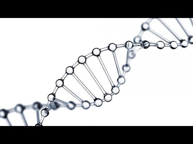 No momento, você está visualizando AKLIMDAKİ KİŞİ AÇILIMI • NE BİLMELİYİM?