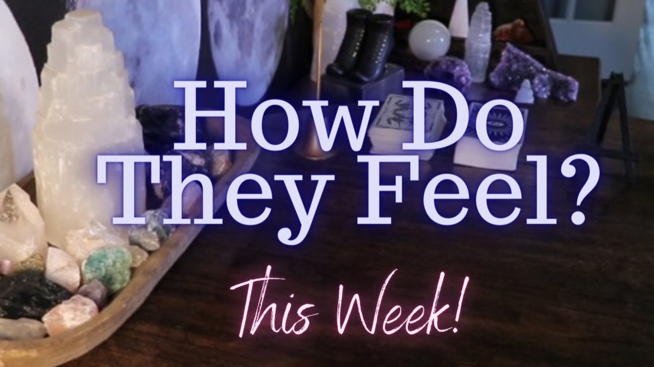 No momento, você está visualizando ALL SIGNS Their FEELINGS For YOU This WEEK!