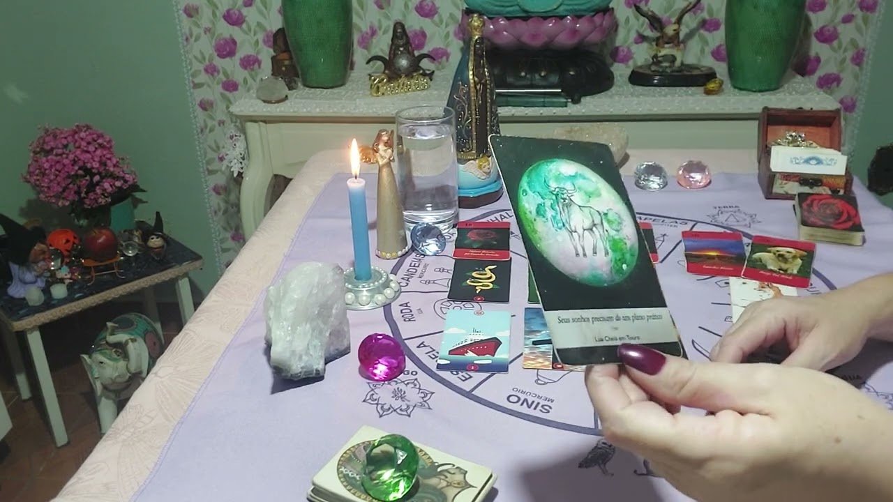 No momento, você está visualizando Como está começando a noite dele (a)?