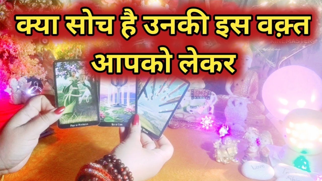 No momento, você está visualizando Current Feelings Next Action ❤💚 All Signs Collective Timeless Tarot Reading