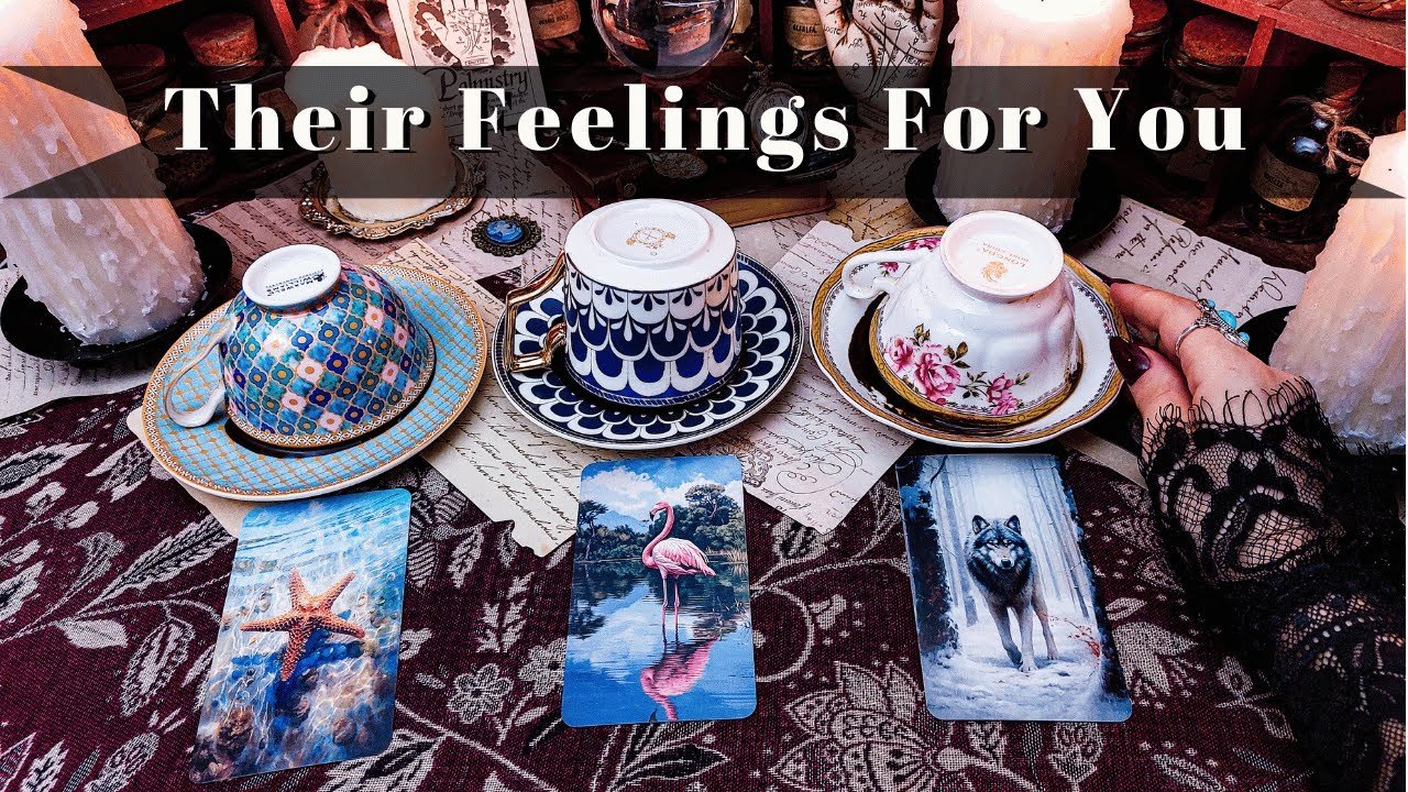 No momento, você está visualizando How do They Feel about You? (COFFEE and TAROT)