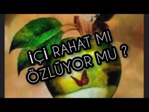 Leia mais sobre o artigo İÇİ RAHAT MI , ÖZLÜYOR MU ? #aklımdakikisi #erildişil #tarotfalı #üçüncükişiler #tarot2023
