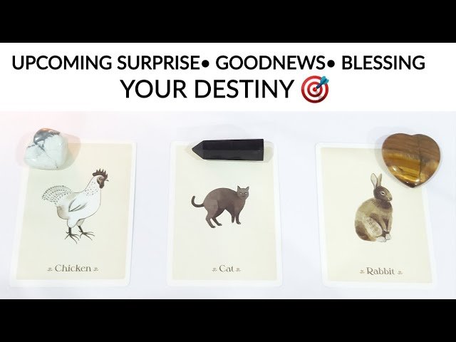 No momento, você está visualizando NEXT SURPRISE• GOODNEWS• BLESSING COMING YOUR WAY 🌠 PICK A CARD TIMELESS