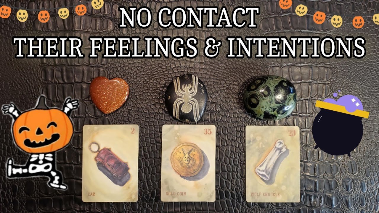 No momento, você está visualizando NO CONTACT | Their Feelings & Intentions Towards You! 🥴💗 Pick A Card Reading