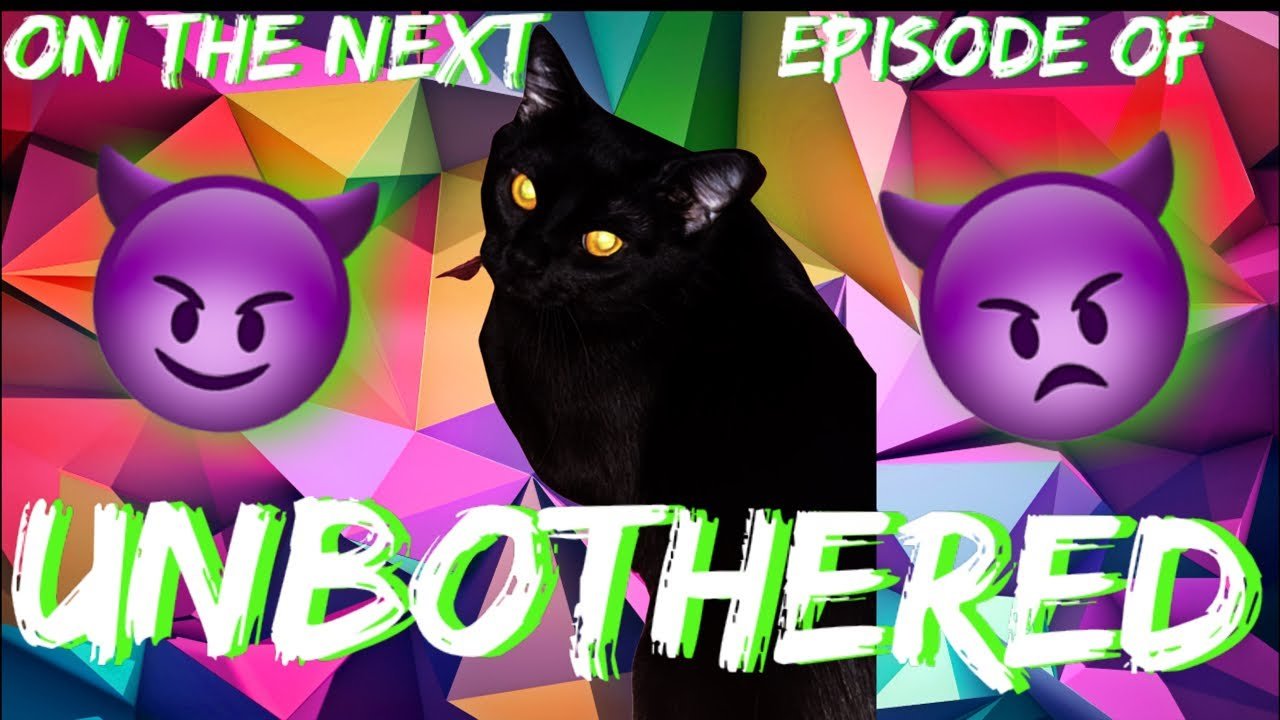 No momento, você está visualizando ON THE NEXT EPISODE OF: UNBOTHERED