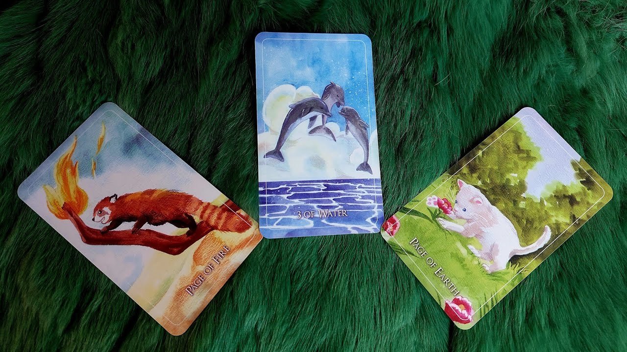 No momento, você está visualizando PHƯỚC BÁU NÀO ĐANG TRỔ SINH MẠNH MẼ TRONG CUỘC SỐNG CỦA BẠN ?