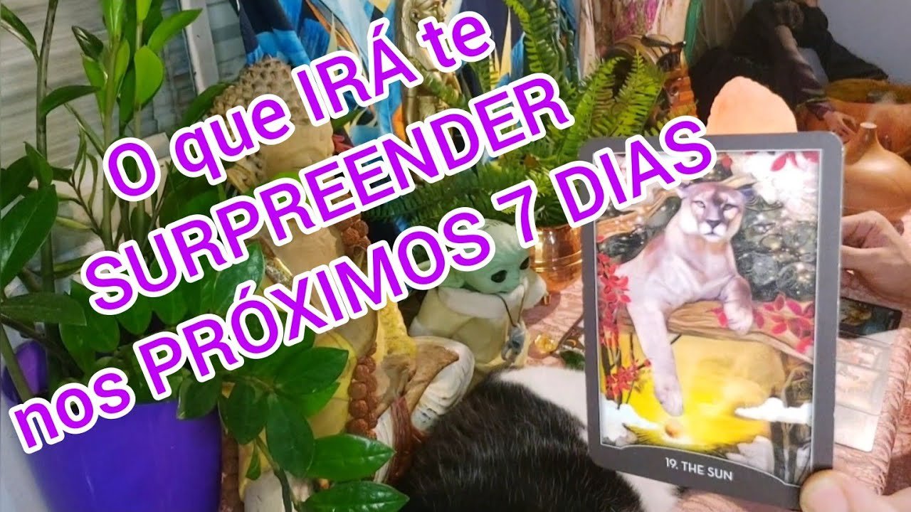 No momento, você está visualizando SAIBA O QUE IRÁ TE SURPREENDER ESTA SEMANA