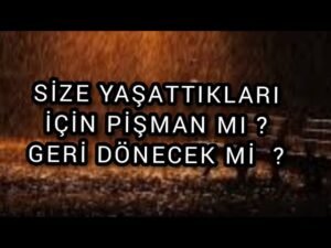 Leia mais sobre o artigo SİZE YAŞATTIKLARI İÇİN PİŞMAN MI,  GERİ DÖNECEK Mİ ? #erildişil #tarotfalı #üçüncükişiler #aklımdaki