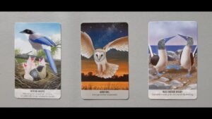Leia mais sobre o artigo tarot: chọn tụ bài: bạn đối diện với thế giới bên ngoài bằng gương mặt nào?