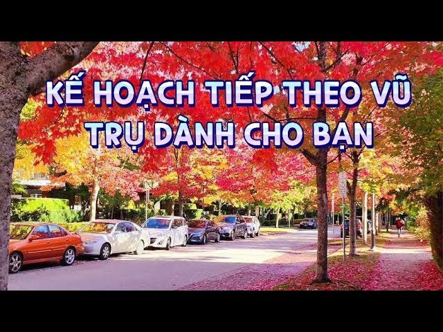 No momento, você está visualizando Tarot: KẾ HOẠCH TIẾP THEO VŨ TRỤ DÀNH CHO BẠN LÀ GÌ