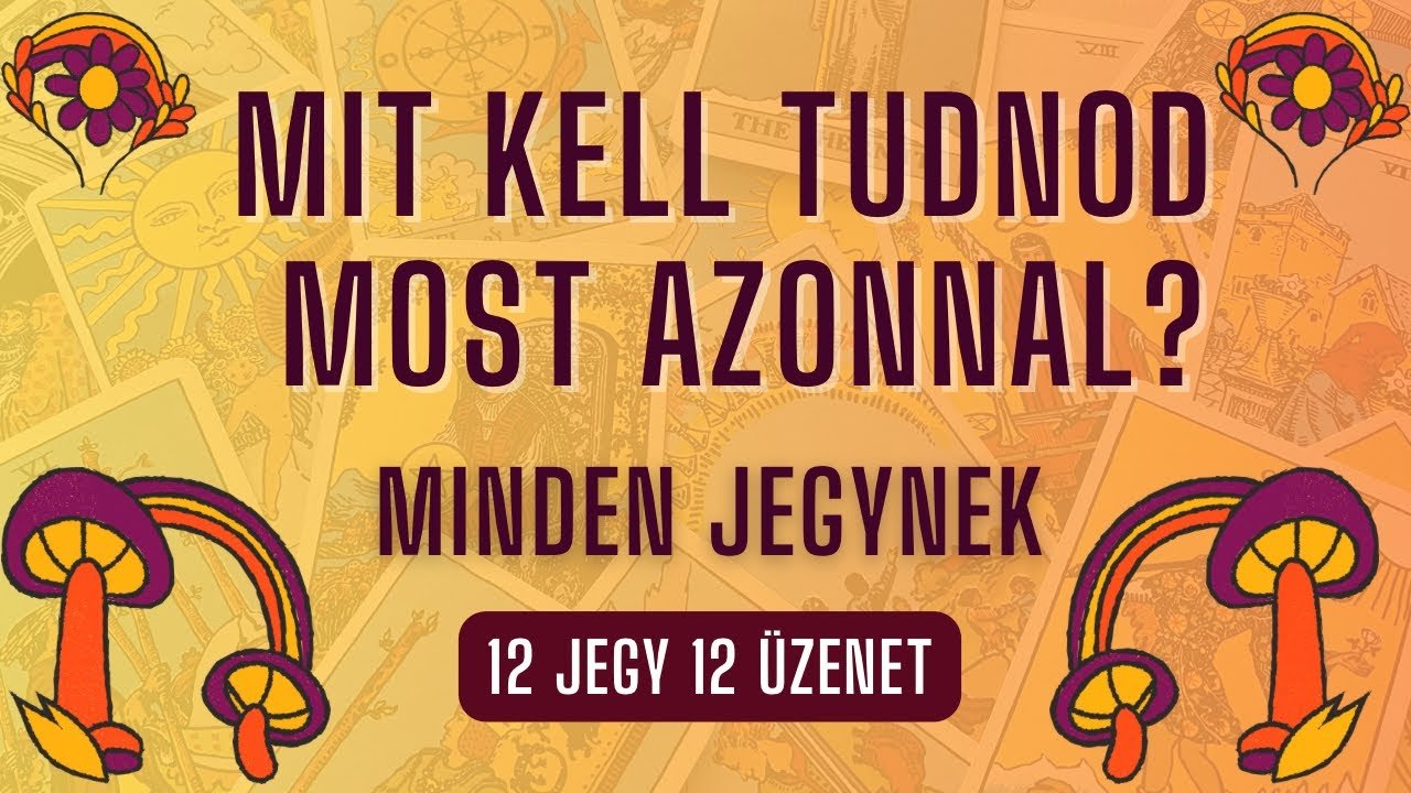No momento, você está visualizando ✨ Mit kell tudnod MOST AZONNAL? ✨ SÜRGŐS ÜZENETEK minden jegynek✨ Tarot kártya / jelenlegi energia ✨