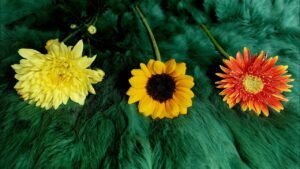 Leia mais sobre o artigo 🍇 “THÁNG 10 ÂM LỊCH” SẼ MANG ĐẾN VẬN MAY TỐT LÀNH NÀO CHO BẠN?