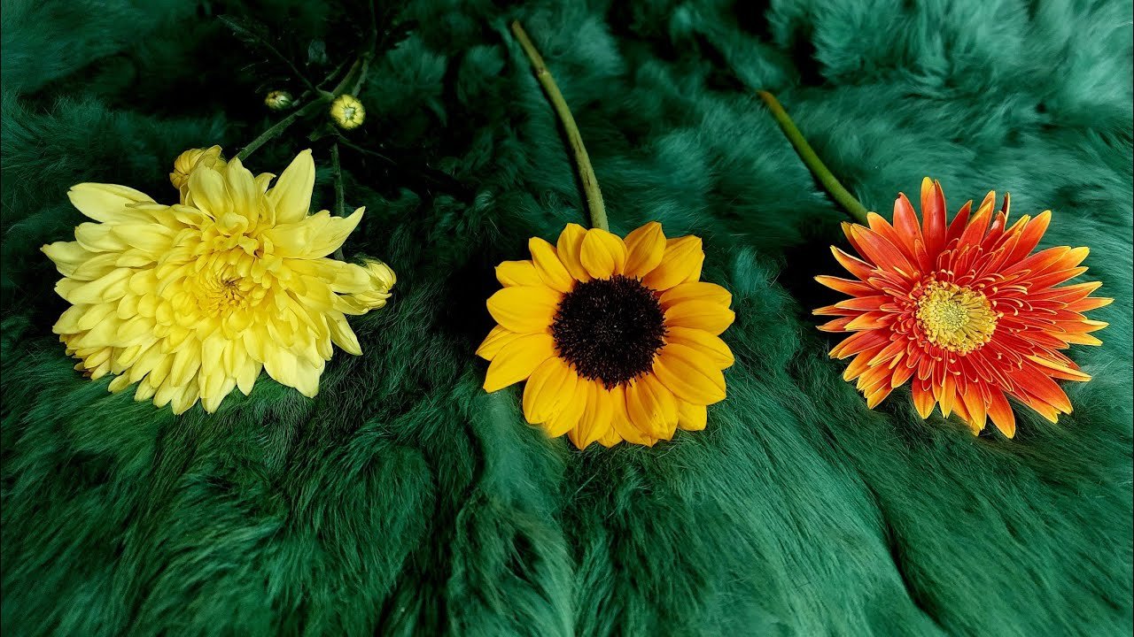 No momento, você está visualizando 🍇 “THÁNG 10 ÂM LỊCH” SẼ MANG ĐẾN VẬN MAY TỐT LÀNH NÀO CHO BẠN?