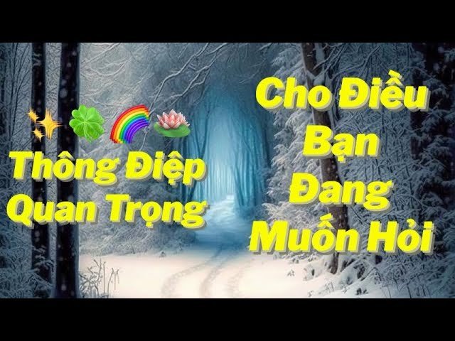 No momento, você está visualizando 🍀🪷✨🌈 Thông Điệp Quan Trọng Cho Điều Bạn Đang Muốn Hỏi | Timeless Tarot