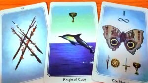 Leia mais sobre o artigo AI MUỐN KẾT NỐI VỚI BẠN TRONG THÁNG 11 / TAROT READING