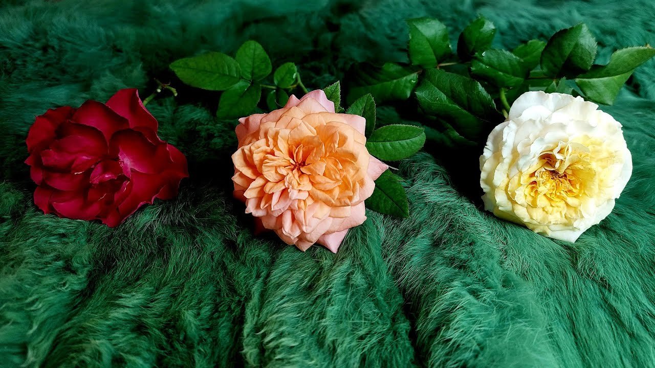 No momento, você está visualizando ĐIỀU GÌ ĐANG ÂM THẦM DIỄN RA TRONG CUỘC SỐNG MÀ BẠN CHƯA BIẾT? @EvelynTarot