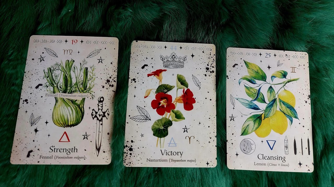 No momento, você está visualizando ĐIỀU GÌ SẼ ĐẾN VỚI BẠN TRONG THÁNG NÀY 7 NGÀY TỚI (6/11-12/11/2023)?