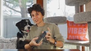 Leia mais sobre o artigo ALL SIGNS – CURRENT ENERGIES CHECK IN,No Clarification (Weekend NOVEMBER 17TH – 19TH)