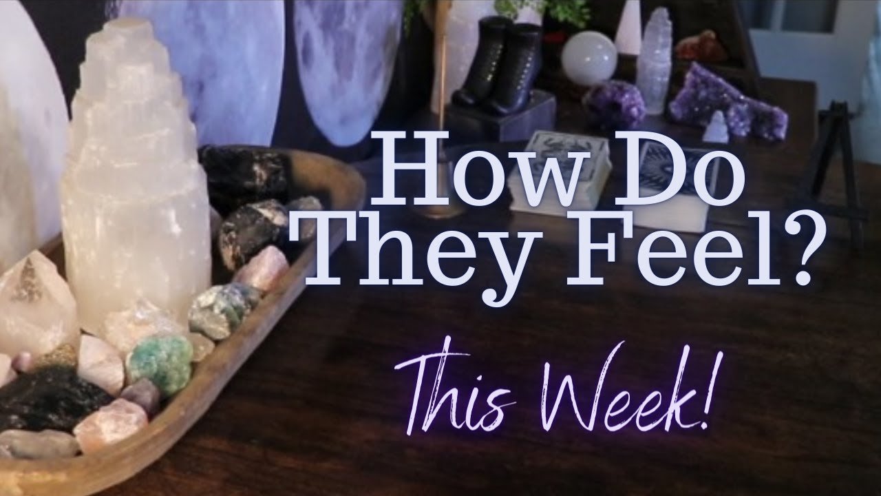 No momento, você está visualizando ALL SIGNS Their FEELINGS For YOU This WEEK!