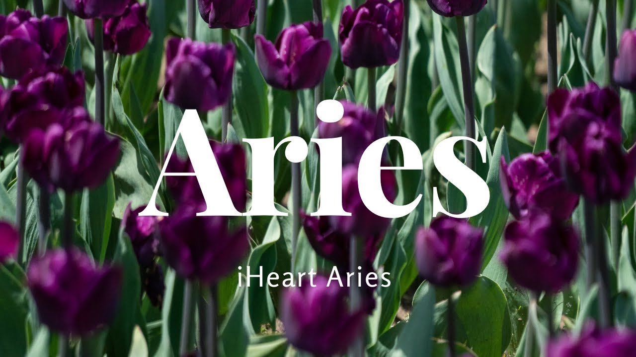 No momento, você está visualizando ✨ARIES YOUR PAINFUL PAST HAS TURNED YOU INTO A HEALER | FINALLY GETTING THE HEALTHY LOVE YOU DESERVE