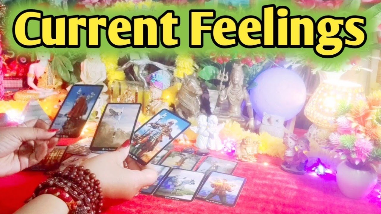 No momento, você está visualizando Current Feelings Next Action ❤💚 All Signs Collective Timeless Tarot Reading