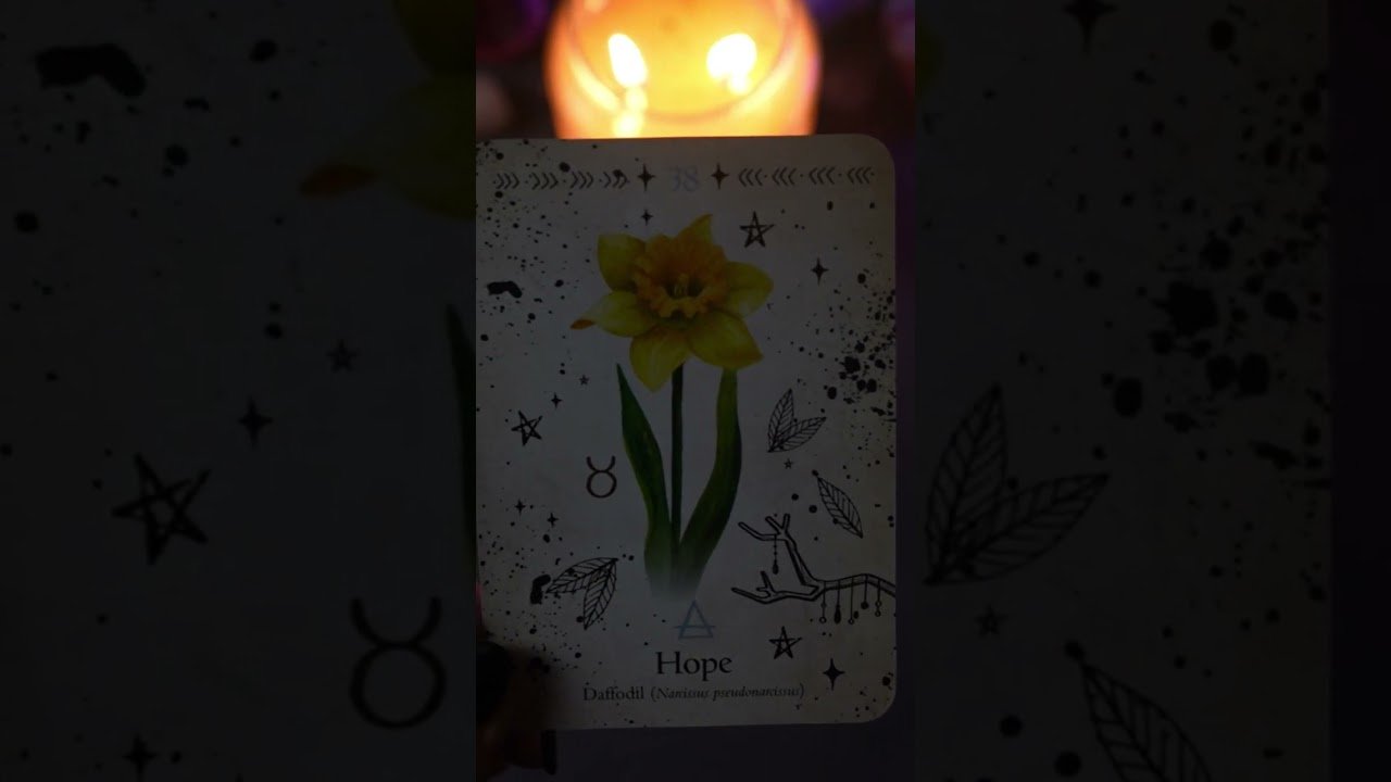 No momento, você está visualizando Jakie będą tegoroczne Święta? 🎄 #tarot #kartytarota #czytanietarota #wróżby #znakizodiaku #święta