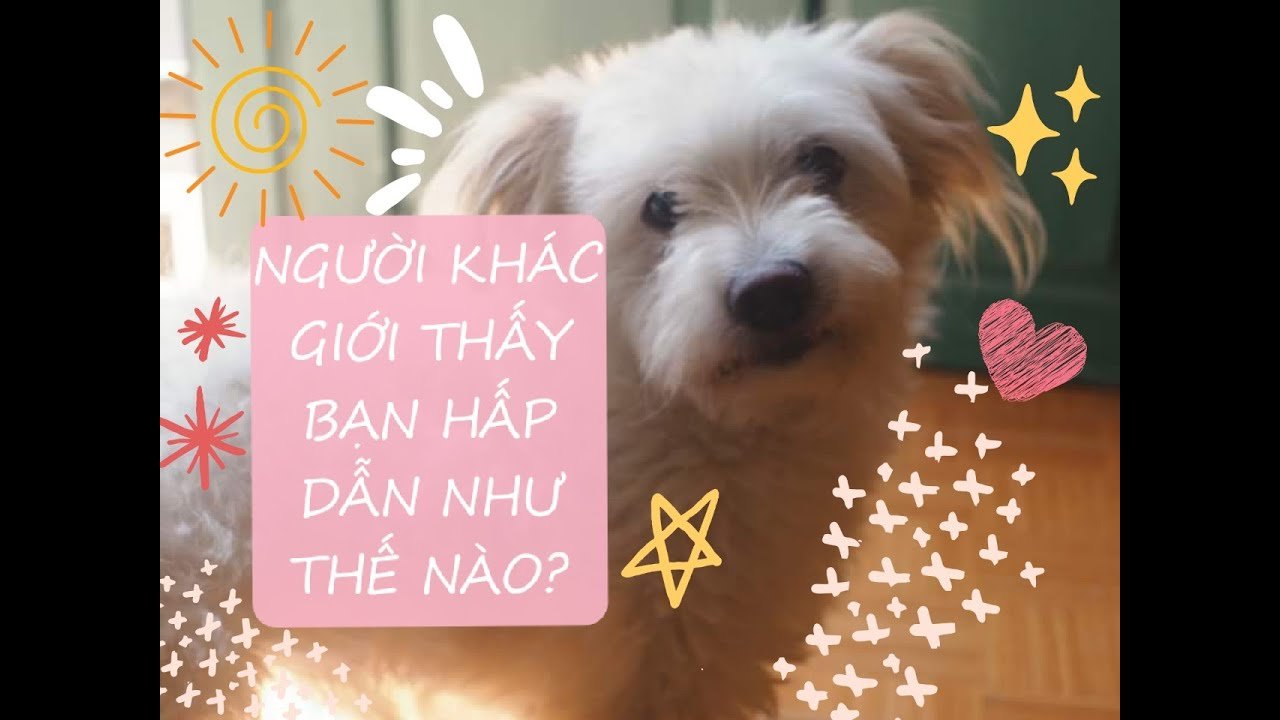 No momento, você está visualizando 🌸NGƯỜI KHÁC GIỚI THẤY BẠN HẤP DẪN NHƯ THẾ NÀO? – Chọn một tụ bài Tarot (timeless)