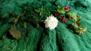 Leia mais sobre o artigo NIỀM VUI BẤT NGỜ NÀO ĐANG ĐƯỢC CÁC ĐẤNG BẢO HỘ THIÊNG LIÊNG MANG ĐẾN CHO BẠN?