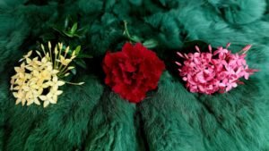 Leia mais sobre o artigo 🌈PHÉP LẠ NÀO SẮP TÌM THẤY BẠN?@EvelynTarot