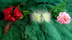 Leia mais sobre o artigo PHƯỚC LÀNH NÀO SẮP BUNG NỞ TRONG CUỘC SỐNG CỦA BẠN VÀO NỬA ĐẦU THÁNG 12/2023 @EvelynTarot