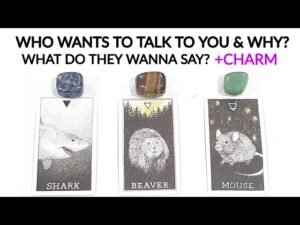Leia mais sobre o artigo PICK A CARD• WHO WANTS TO TALK TO YOU & WHY 😍 WHAT DO THEY WANNA SAY 🤔 *TIMELESS