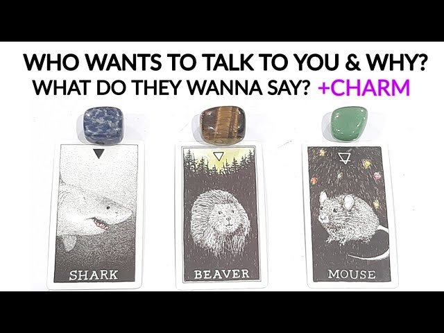 No momento, você está visualizando PICK A CARD• WHO WANTS TO TALK TO YOU & WHY 😍 WHAT DO THEY WANNA SAY 🤔 *TIMELESS